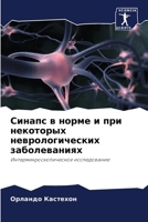 Синапс в норме и при некоm 6206881121 Book Cover
