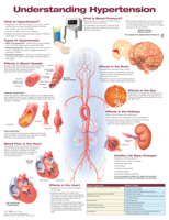 Understanding Hypertension Anatomical Chart 1496369815 Book Cover