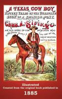A Texas Cowboy: or, Fifteen Years on the Hurricane Deck of a Spanish Pony 0140437517 Book Cover