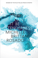 Why Can't It Be Tenderness 0299319946 Book Cover