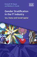 Gender Stratification in the It Industry: Sex, Status and Social Capital 1849801142 Book Cover