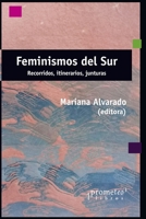 Feminismos del sur: Recorridos, itinerarios, junturas B08ZNDL8JM Book Cover