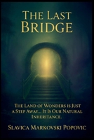 The Last Bridge B0FRB3ZVDW Book Cover