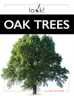 Oak Trees 1682774031 Book Cover