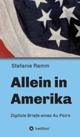 Allein in Amerika - Digitale Briefe eines Au Pairs 3347343980 Book Cover