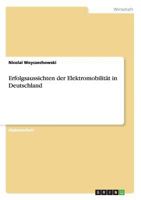 Erfolgsaussichten Der Elektromobilitat in Deutschland 3656642982 Book Cover