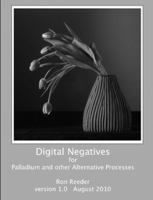 Digital Negatives for palladium and other alternative processes 0557604680 Book Cover