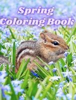 Spring Coloring Book: Springtime Adult Coloring Pages with Butterflies, Wildflowers, Birds and Easy B0CBQNKGKV Book Cover