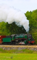 Notebook: train locomotive railway green smoke trains railways 1707916543 Book Cover