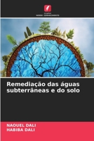 Remediação das águas subterrâneas e do solo 6205770075 Book Cover