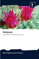 Нейрика: Назначенный провидческий эон 6202845961 Book Cover