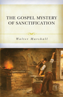 The Gospel Mystery of Sanctification: Growing in Holiness by Living in Union with Christ B0007JF45K Book Cover