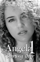 Starting Over (Angela #1 0615761593 Book Cover