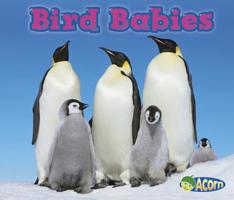 Bird Babies 1432984179 Book Cover