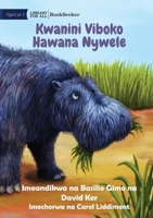 Why Hippos Have No Hair - Kwanini Viboko Hawana Nywele 1922932000 Book Cover