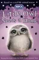 Little Owl Needs a Home 140713535X Book Cover