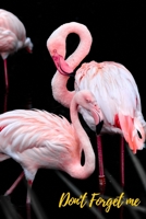 Don't Forget Me: Pink flamingo.Internet Password Logbook with alphabetical tabs.Personal Address of websites, usernames, passwords notebook/Journal/Organizer/Keeper.Large printed format.Size 6x9 inche 1709881852 Book Cover