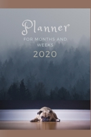 Planner For Months And Weeks 2020: Sad French Bulldog Calendar Planner For 2020, Adorable Animal Picture Organizer Book, Bonus Lines 1679683101 Book Cover