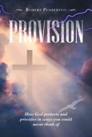 Provision: How God Protects and Provides in Ways You Could Never Think Of 1728366585 Book Cover