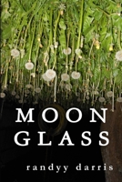 Moon Glass 1365846059 Book Cover
