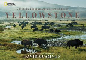 Yellowstone: A Journey through America's Wild Heart 1426217544 Book Cover