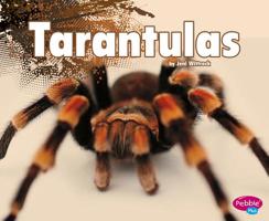 Tarantulas 1476524580 Book Cover