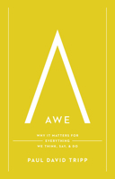 Awe: Why It Matters for Everything We Think, Say, and Do 1433547074 Book Cover