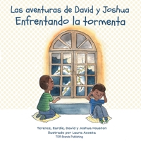 Enfrentando la tormenta (Las aventuras de David y Joshua) (Spanish Edition) 1947574191 Book Cover