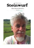 Steinwurf: Der Stein Davids 3837059375 Book Cover
