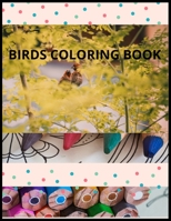 birds coloring book: A coloring book Gift for Birthday any special occasion B0915N26QQ Book Cover