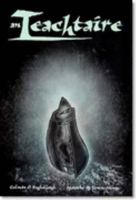 An Teachtaire 1899922210 Book Cover