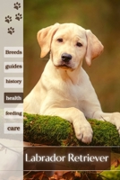 Labrador Retriever: Breed Guide B0F79W9BNX Book Cover