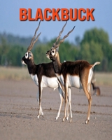 Blackbuck: Fun Learning Facts About Blackbuck B08KJR79HC Book Cover