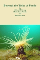 Beneath the Tides of Fundy 1365182991 Book Cover