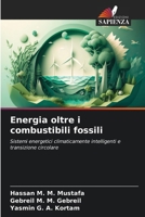 Energia oltre i combustibili fossili (Italian Edition) 6630162544 Book Cover