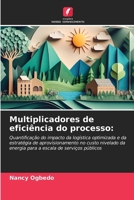 Multiplicadores de eficiência do processo 6209494269 Book Cover