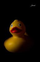 Journal: Rubber Ducky Journal lined Notebook Diary Yellow Ducks on Black gummienten notizbuch carnet de notes canard en caoutchouc cuaderno de patos de goma anatre di gomma 1080415904 Book Cover