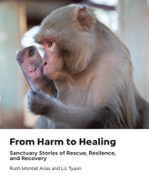 From Harm to Healing: Sanctuary Stories of Rescue, Resilience, and Recovery 1590567323 Book Cover