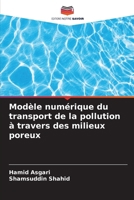 Modèle numérique du transport de la pollution à travers des milieux poreux (French Edition) 6202436247 Book Cover