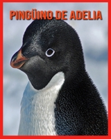 Pingüino de Adelia: Libro para niños con datos curiosos e imágenes asombrosas B08RH5N2S8 Book Cover