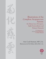 Illustrations of the Complete Acupuncture System: The Sinew, Luo, Divergent, Eight Extraordinary, Primary Channels and all their Branches 0983772037 Book Cover