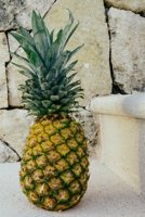 Recipe Journal: Recipe Journal - 6x9 - 120 Lined pages - Recipe Recording Notebook - Matte Cover 1671557484 Book Cover