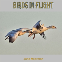 Birds in Flight B0F4HQ5YYZ Book Cover