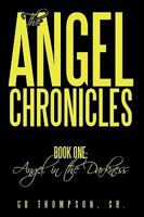 The Angel Chronicles: Book One: Angel in the Darkness 1452006547 Book Cover