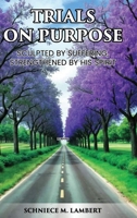 Trials on Purpose: Sculpted by Suffering, Strengthened by His Spirit B0FDYKR7W4 Book Cover