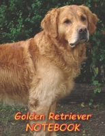 Golden Retriever NOTEBOOK: Dog Notebooks and Journals 110 pages (8.5x11) 1660526523 Book Cover