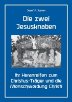 Die zwei Jesusknaben: Ihr Heranreifen zum Christus-Träger und die Menschwerdung Christi (German Edition) 3769377958 Book Cover