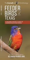 Feeder Birds of Texas 1620052202 Book Cover