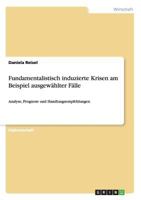 Fundamentalistisch induzierte Krisen am Beispiel ausgew�hlter F�lle: Analyse, Prognose und Handlungsempfehlungen 3638939219 Book Cover