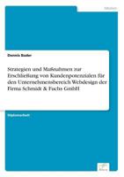 Strategien Und Massnahmen Zur Erschliessung Von Kundenpotenzialen Fur Den Unternehmensbereich Webdesign Der Firma Schmidt & Fuchs Gmbh 3838684699 Book Cover